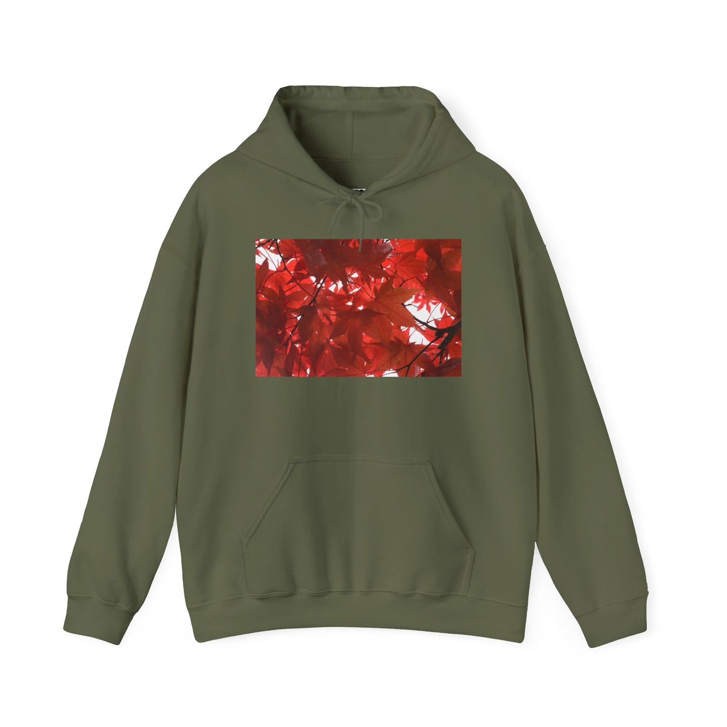 FALL FOLIAGE - Hooded Hoodie Sweatshirt - Cozy Unisex Pullover Jumper for Positive Vibes, Gift for Friends, Everyday Comfort, Self-Expression