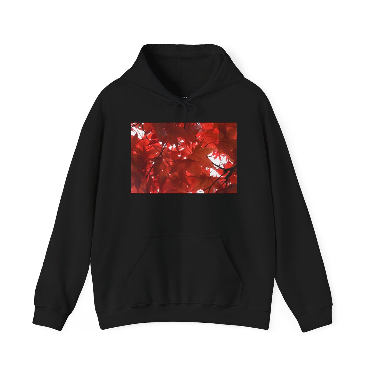 FALL FOLIAGE - Hooded Hoodie Sweatshirt - Cozy Unisex Pullover Jumper for Positive Vibes, Gift for Friends, Everyday Comfort, Self-Expression