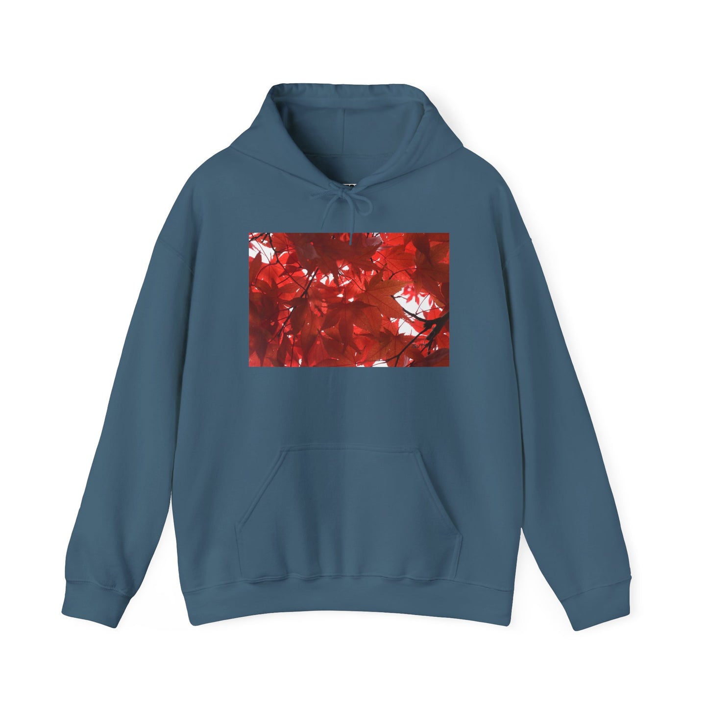 FALL FOLIAGE - Hooded Hoodie Sweatshirt - Cozy Unisex Pullover Jumper for Positive Vibes, Gift for Friends, Everyday Comfort, Self-Expression