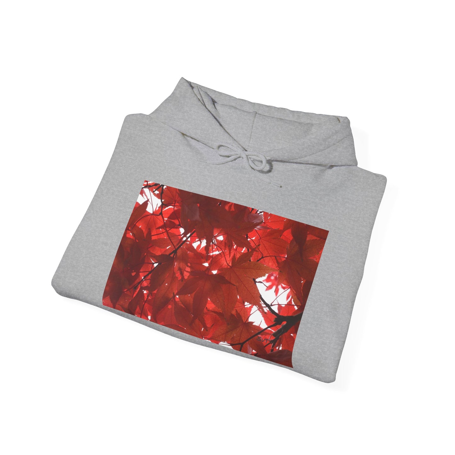 FALL FOLIAGE - Hooded Hoodie Sweatshirt - Cozy Unisex Pullover Jumper for Positive Vibes, Gift for Friends, Everyday Comfort, Self-Expression