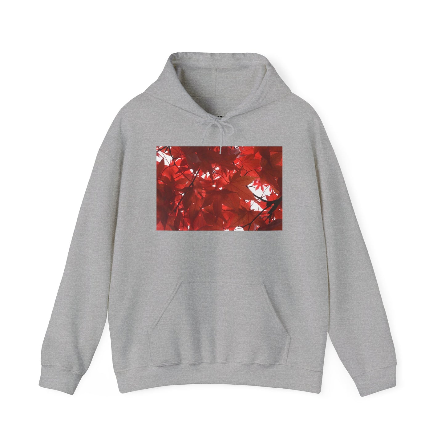 FALL FOLIAGE - Hooded Hoodie Sweatshirt - Cozy Unisex Pullover Jumper for Positive Vibes, Gift for Friends, Everyday Comfort, Self-Expression