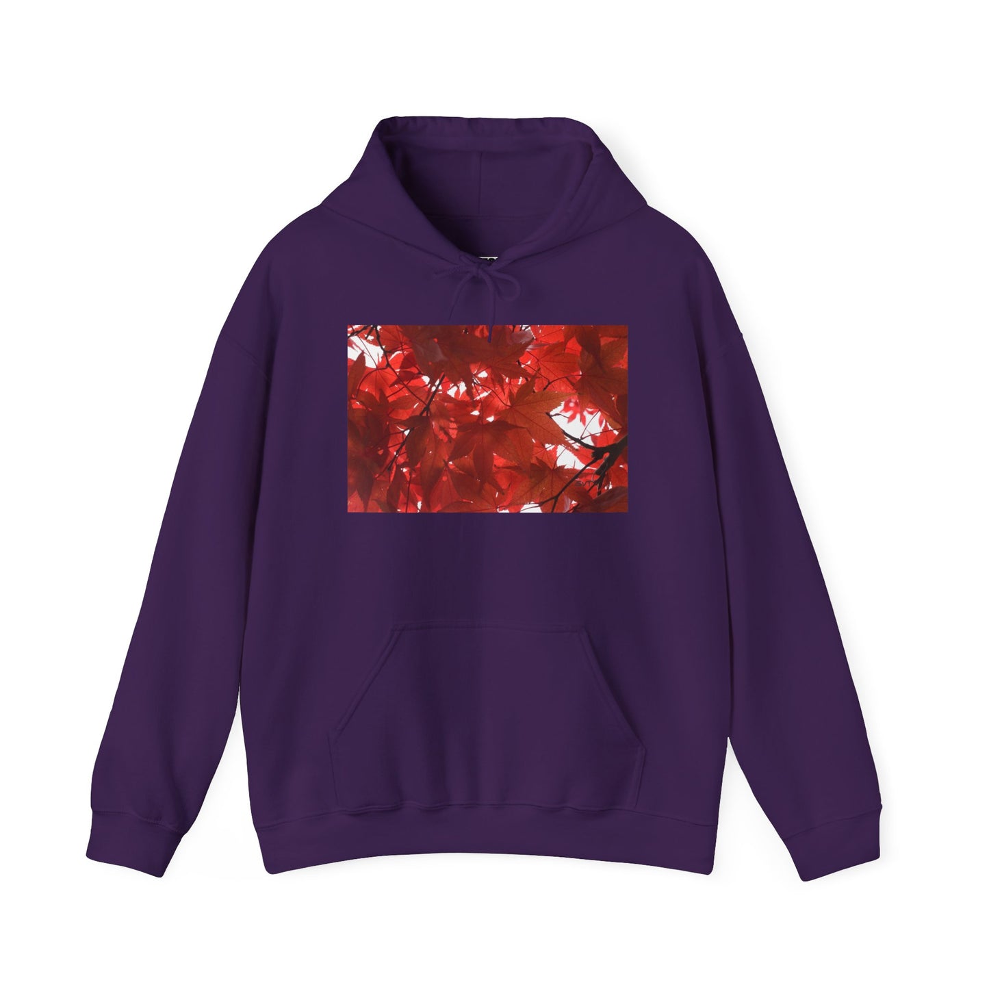 FALL FOLIAGE - Hooded Hoodie Sweatshirt - Cozy Unisex Pullover Jumper for Positive Vibes, Gift for Friends, Everyday Comfort, Self-Expression