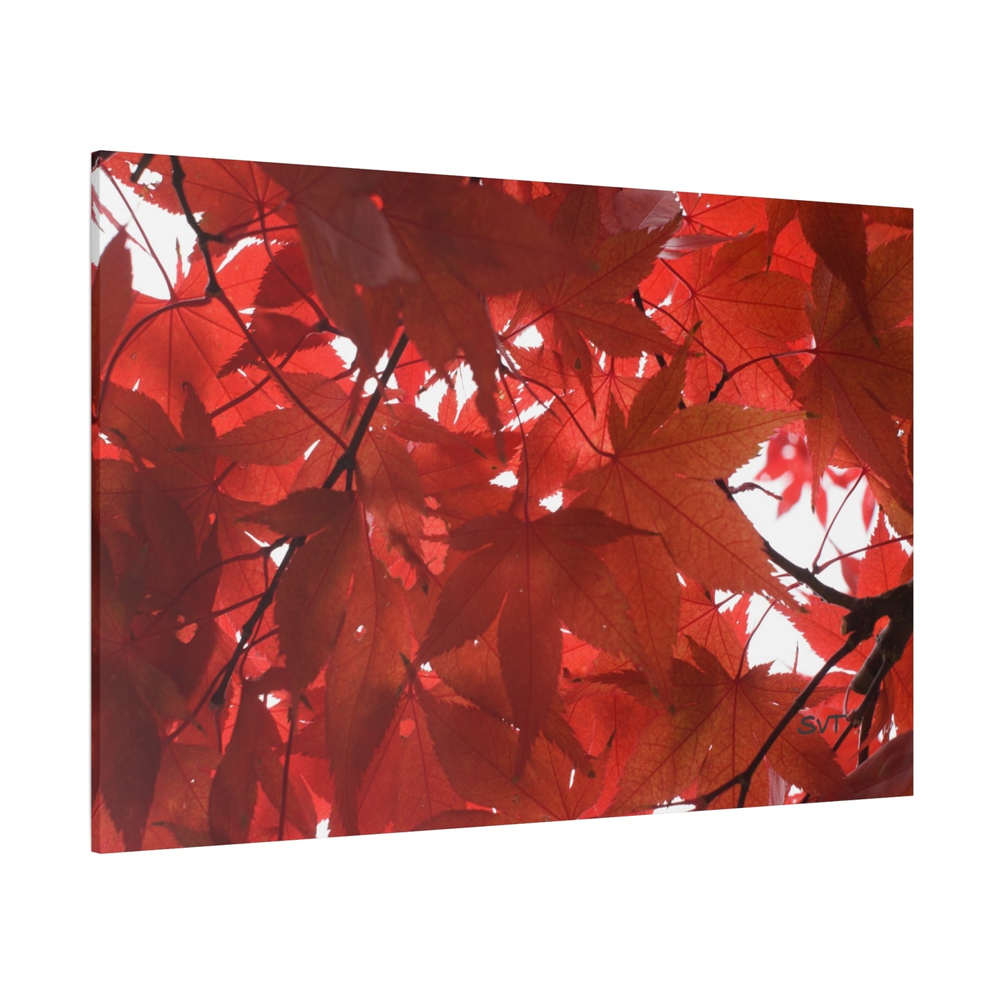 FALL FOLIAGE - Matte Canvas, Stretched, 1.25"