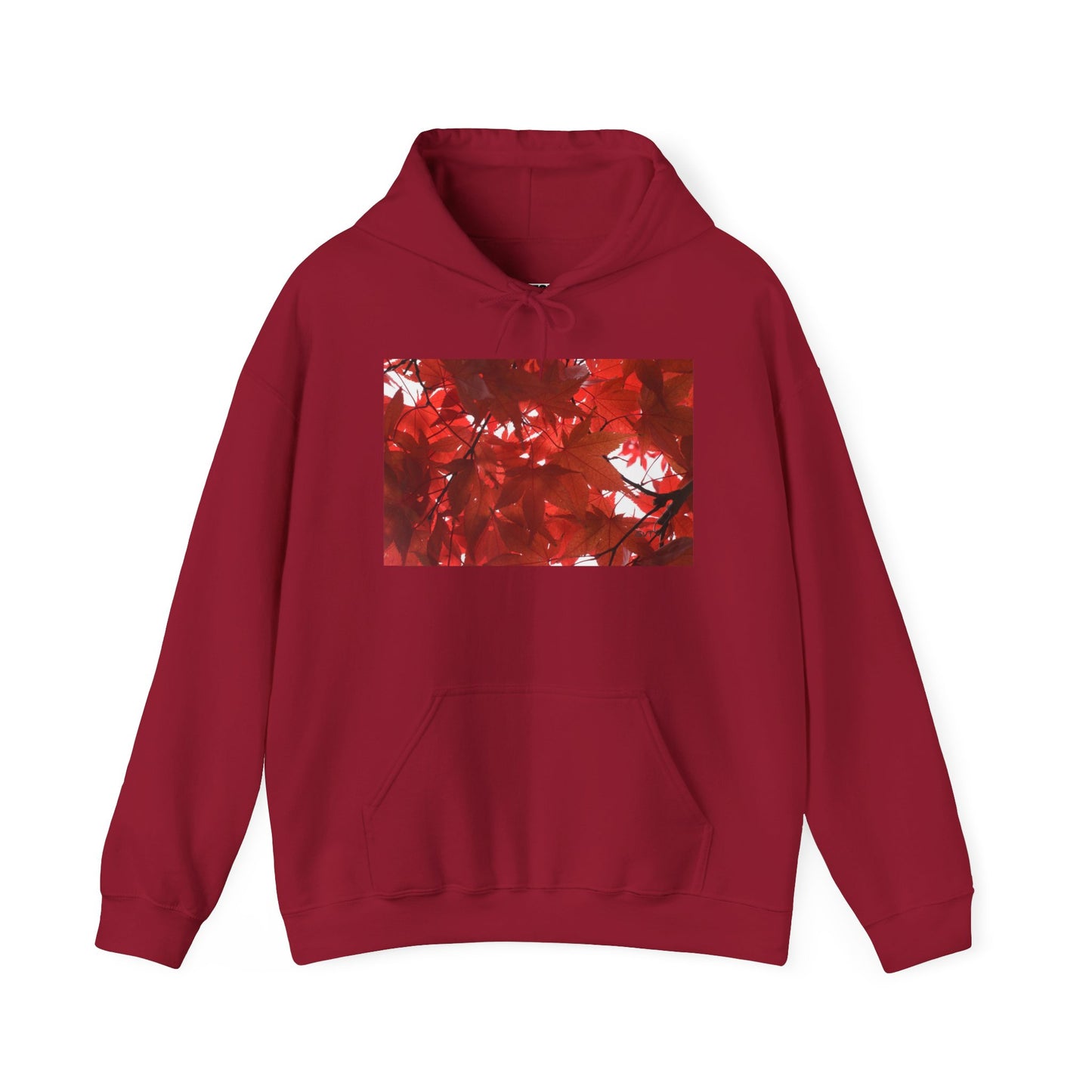 FALL FOLIAGE - Hooded Hoodie Sweatshirt - Cozy Unisex Pullover Jumper for Positive Vibes, Gift for Friends, Everyday Comfort, Self-Expression