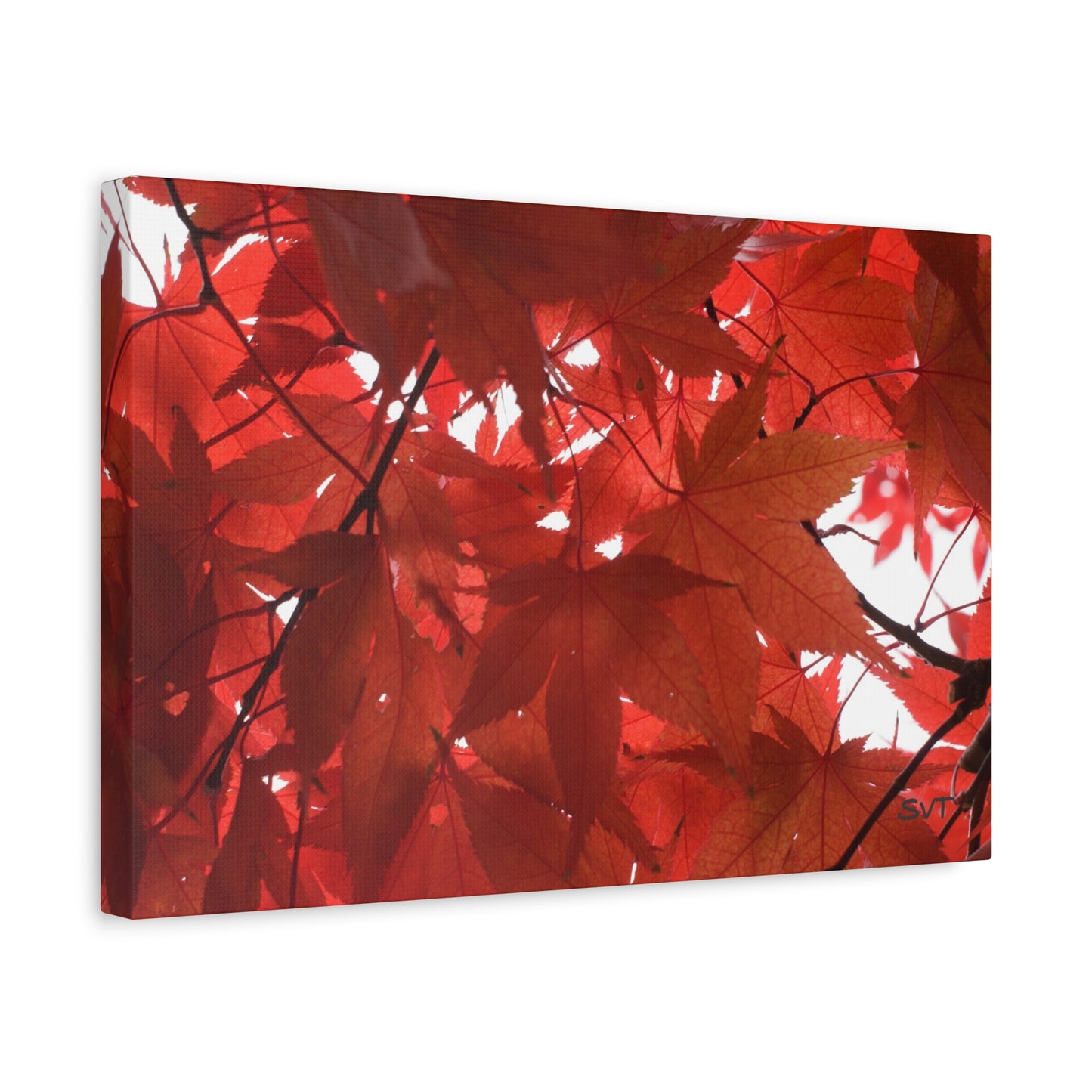 FALL FOLIAGE - Matte Canvas, Stretched, 1.25"