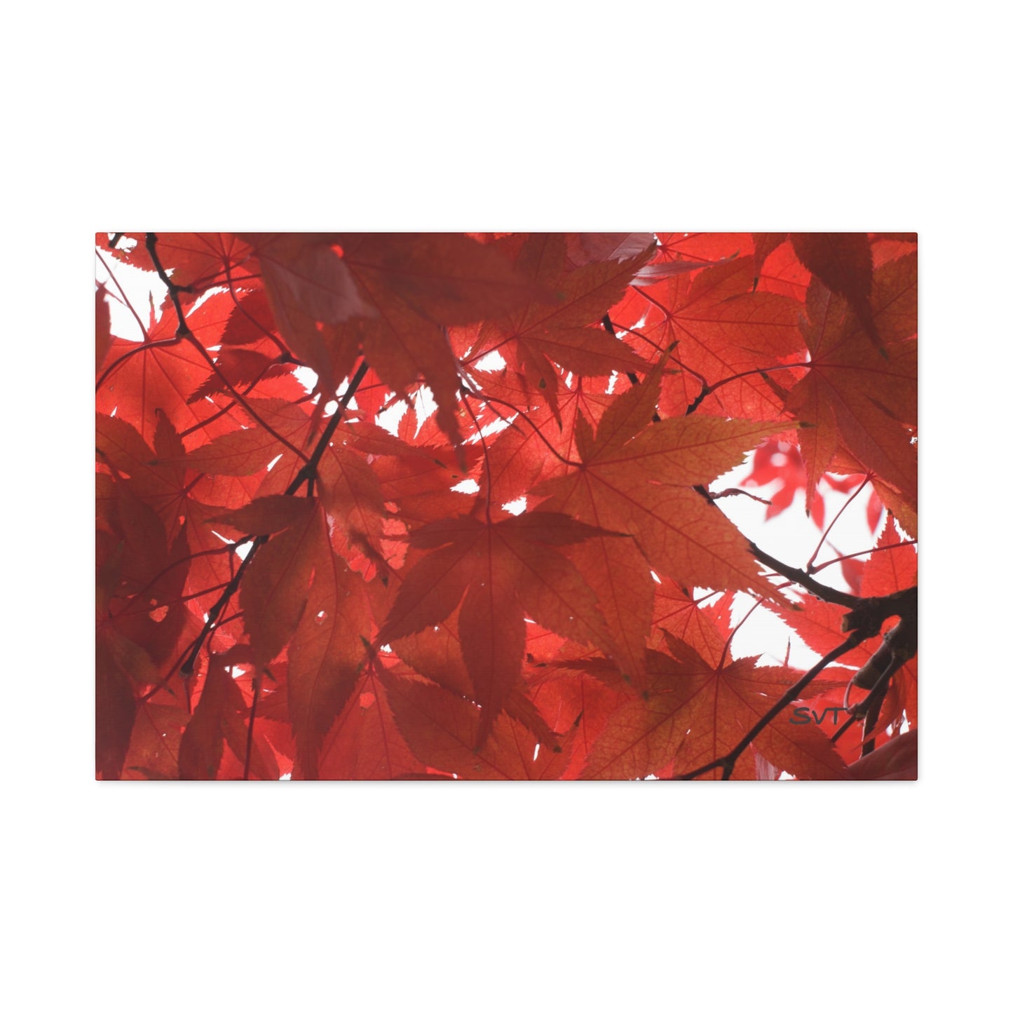 FALL FOLIAGE - Matte Canvas, Stretched, 1.25"