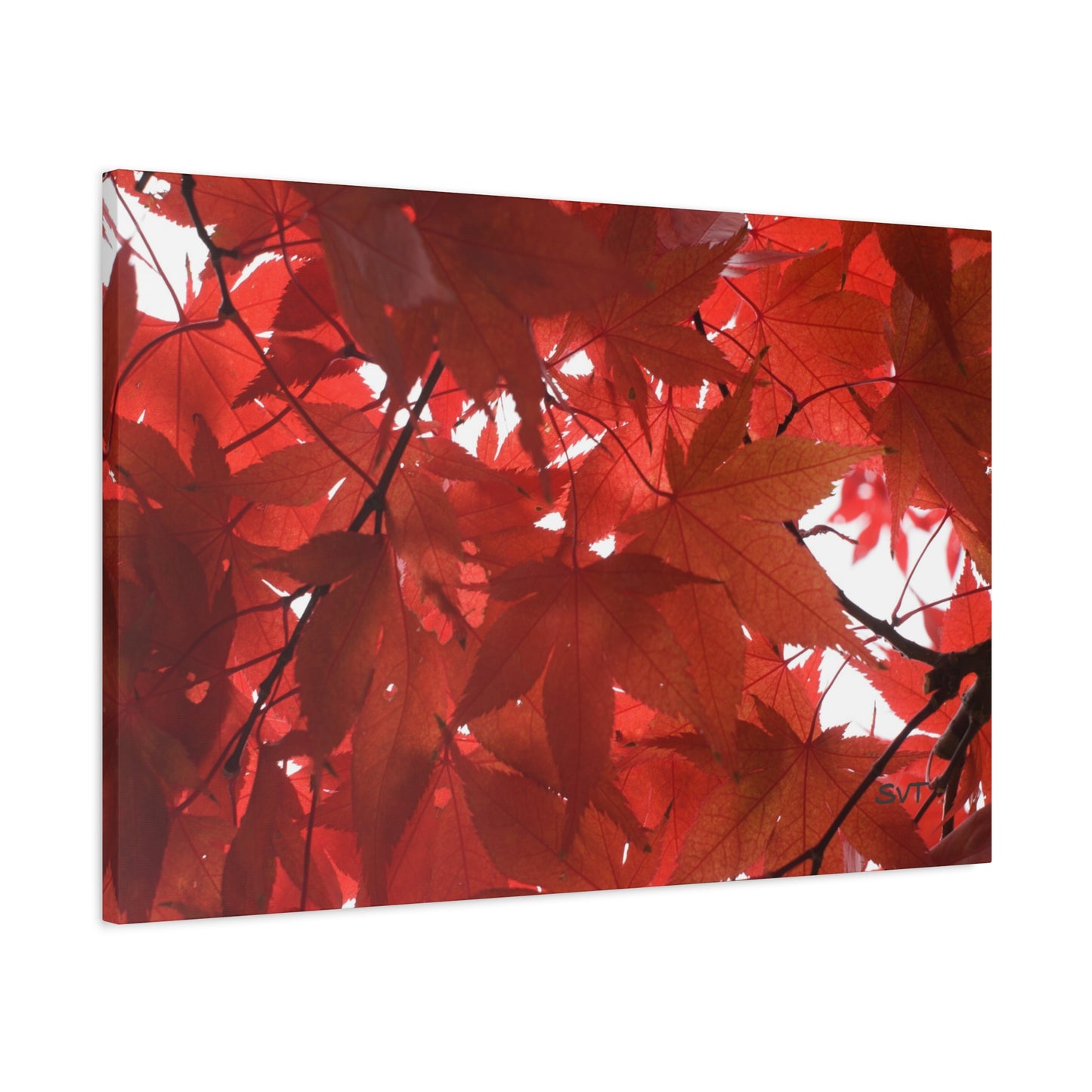 FALL FOLIAGE - Matte Canvas, Stretched, 1.25"