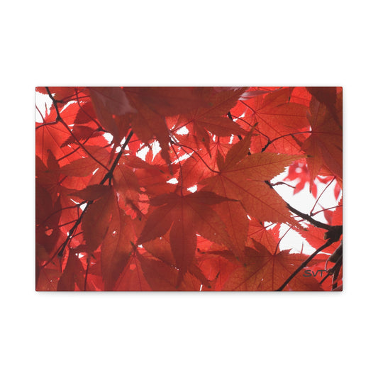 FALL FOLIAGE - Matte Canvas, Stretched, 1.25"