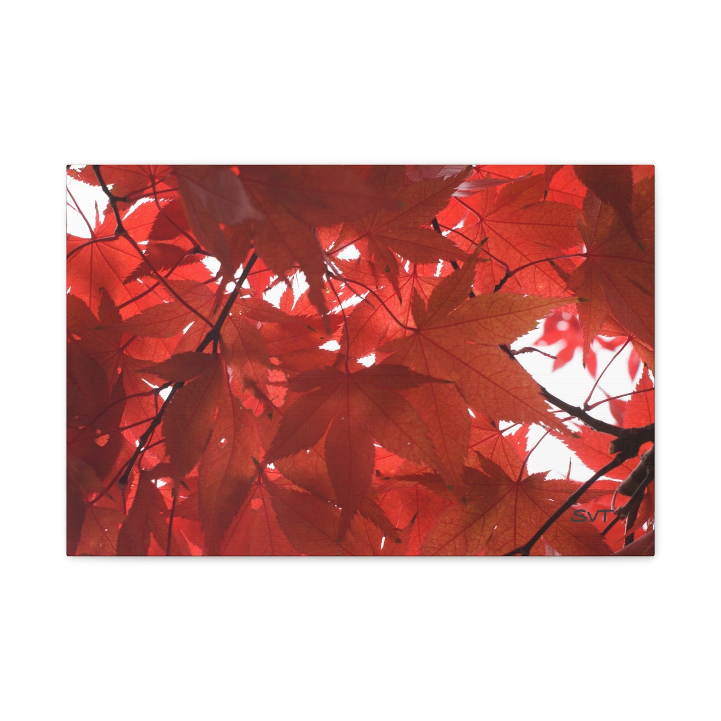 FALL FOLIAGE - Matte Canvas, Stretched, 1.25"