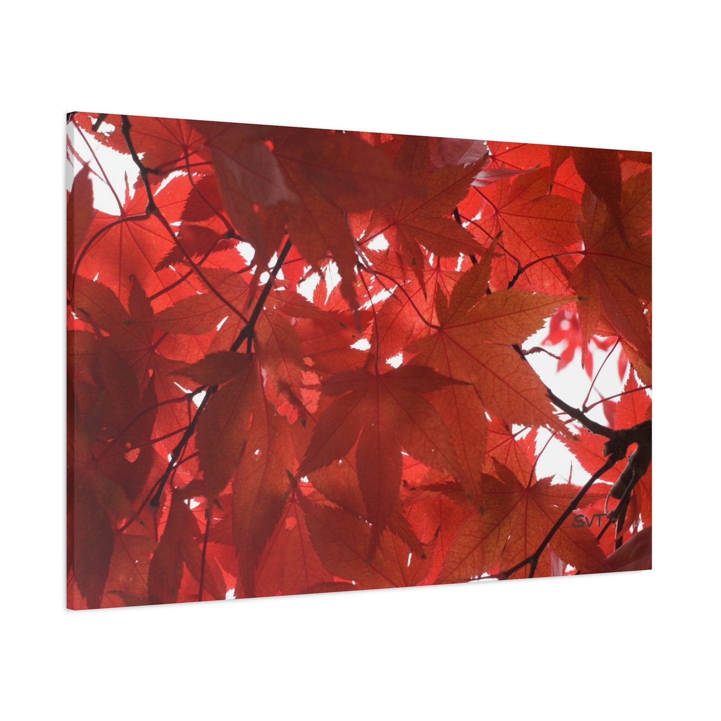FALL FOLIAGE - Matte Canvas, Stretched, 1.25"