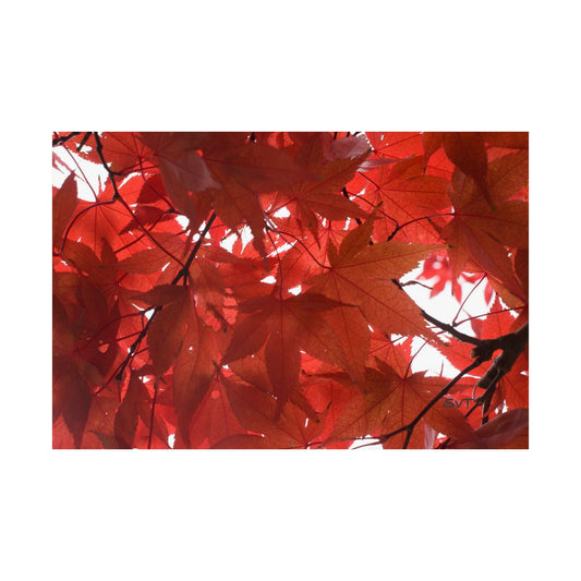 FALL FOLIAGE - Matte Poster, Wall Art, Home Decor, Seasonal Decoration, Gift for Nature Lovers, Fall Artwork
