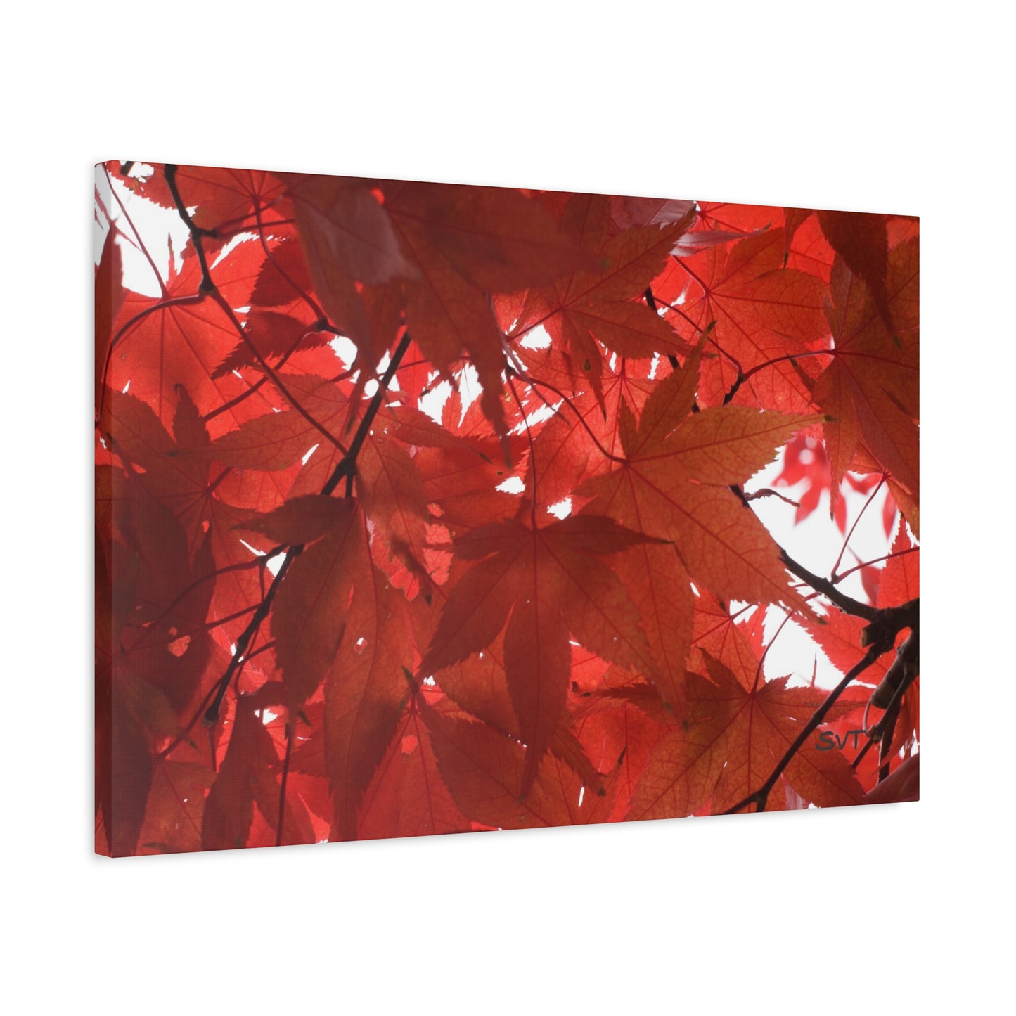 FALL FOLIAGE - Matte Canvas, Stretched, 1.25"