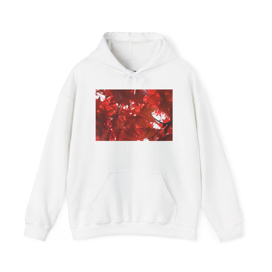 FALL FOLIAGE - Hooded Hoodie Sweatshirt - Cozy Unisex Pullover Jumper for Positive Vibes, Gift for Friends, Everyday Comfort, Self-Expression