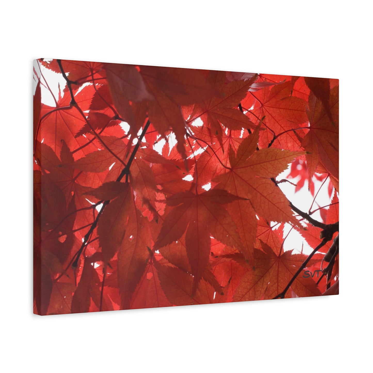 FALL FOLIAGE - Matte Canvas, Stretched, 1.25"